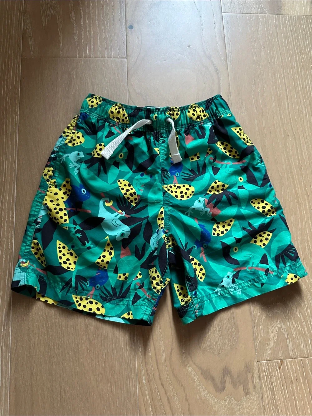 Hanna Andersson Boys Swim trunks